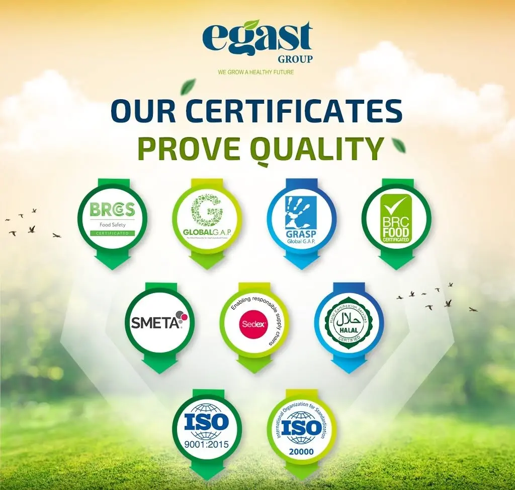 EGAST quality certifications and international standards