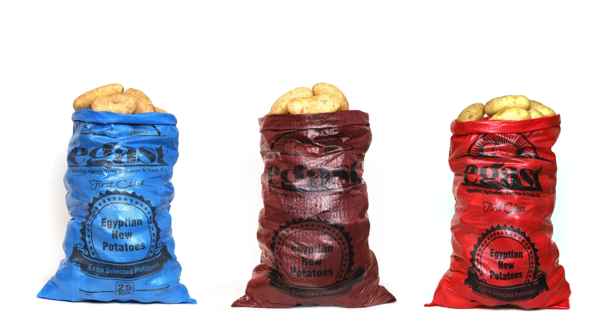 Design premium de carton fruits et légumes EGAST